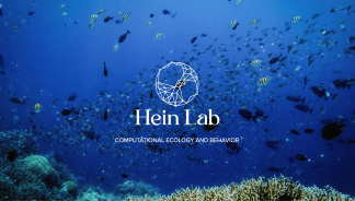 Hein Lab